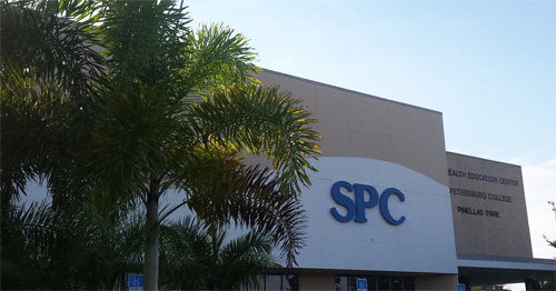 2015-09-23_palmtrees