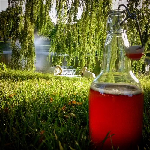 2016-07-01_swanbucha