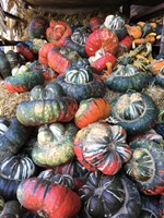 2016-10-14_gourds2