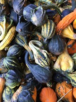 2016-10-14_gourds