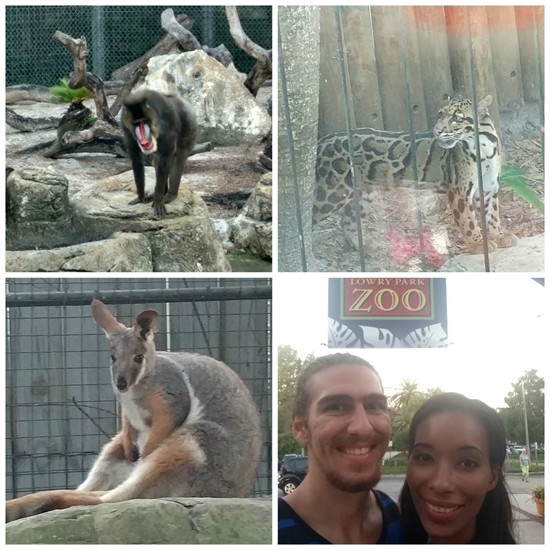 2016-10-14_zoo