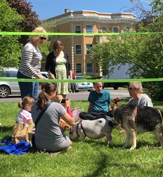 2017-05-18_farmersmarket2