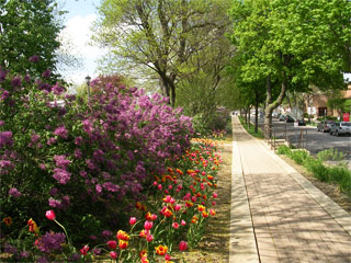 street flowers lombard illinois