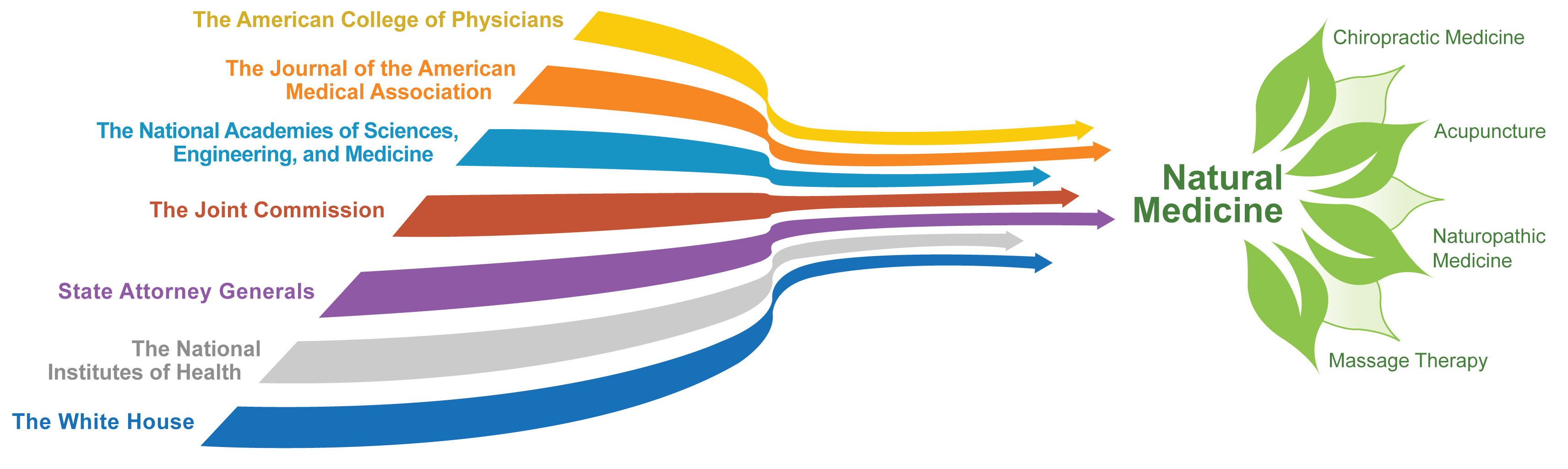 major institutions that have rallied around complementary and alternative medicine as a potential solution to opiod epidemic infographic