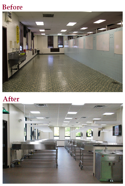 anatomy lab before and after