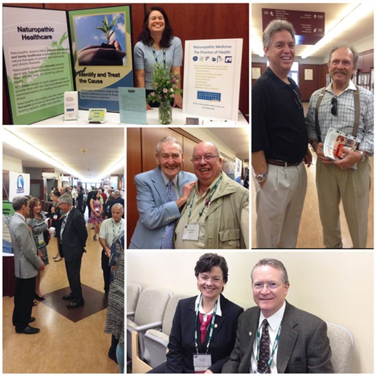 nuhs homecoming celebration collage