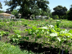 national university ND herbal garden