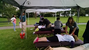 dc illinois interns volunteeer aurora and lombard events