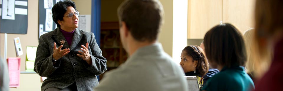 professor lecturing in front of class