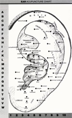 acupuncture points in the ear diagram