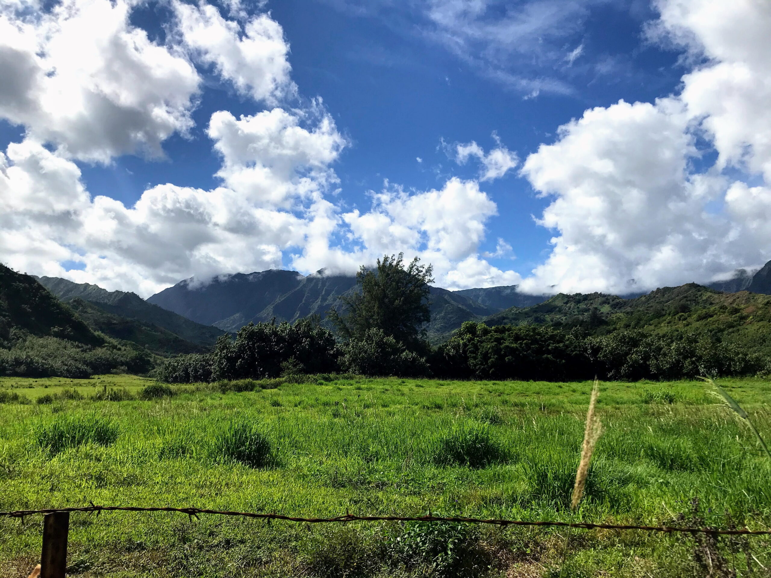 Mountain panorama with blue sky and fluffy clouds