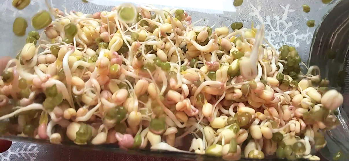 Mung Beans_Horizontal