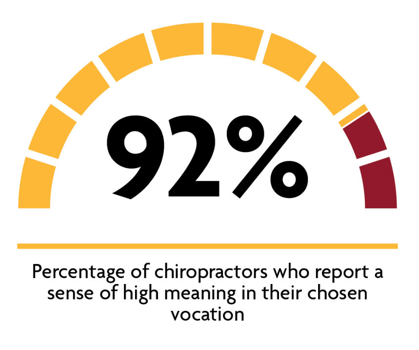 graph showing 92% of chiropractors have high meaning in their careers