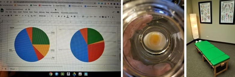 Sarahs Collage FINAL