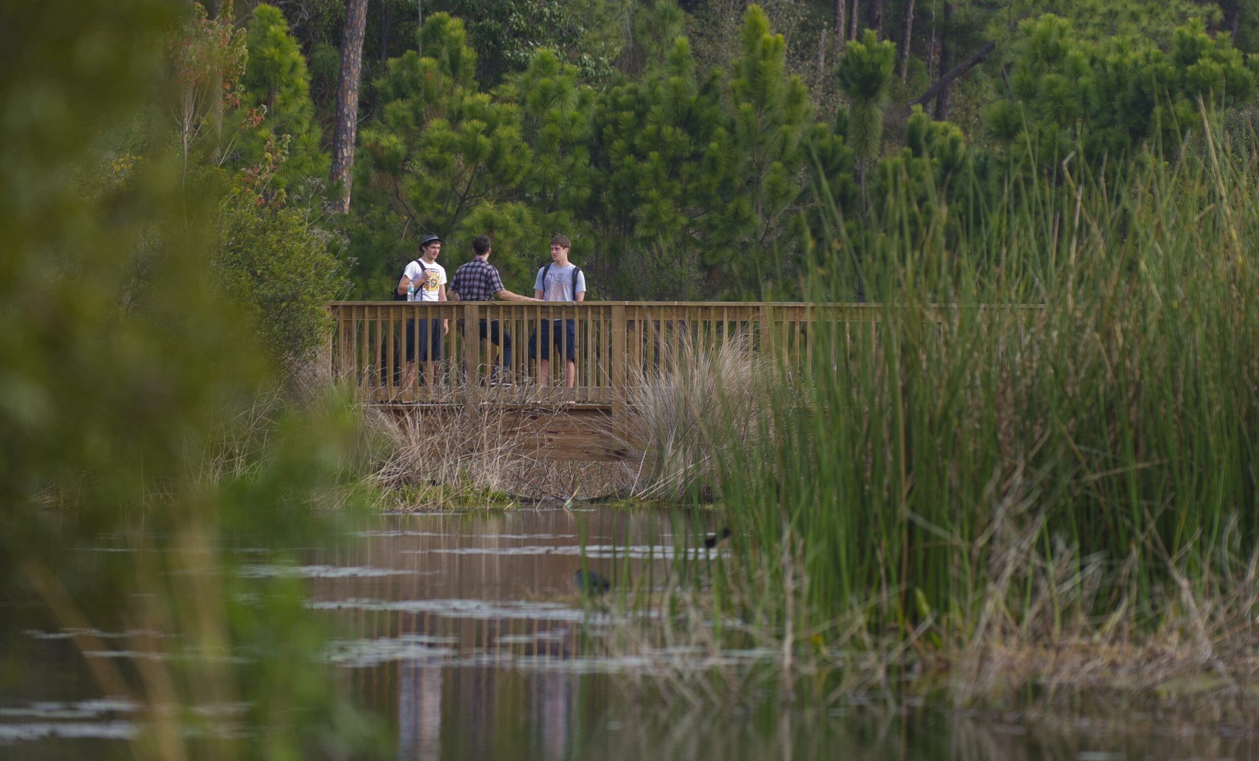 Three male students talking on a Florida waterway bridge