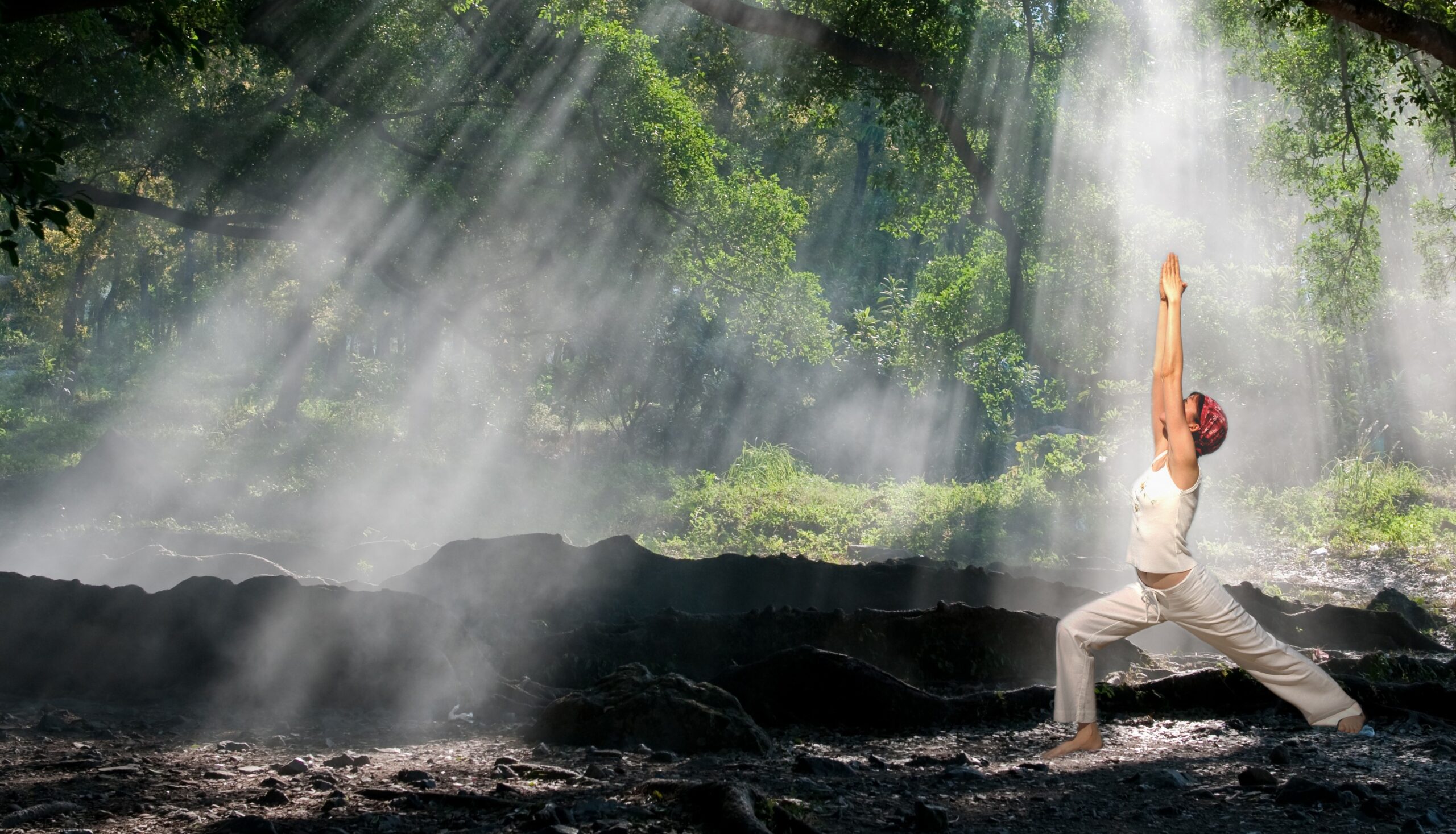 Tai Chi in a sun bathed forest