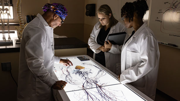 teacher with two students looking at anatomage table