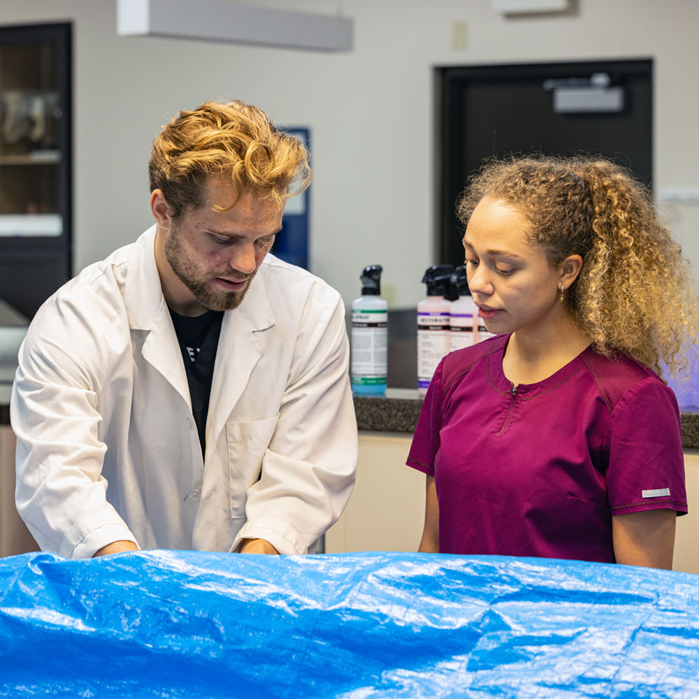 students working in live anatomy