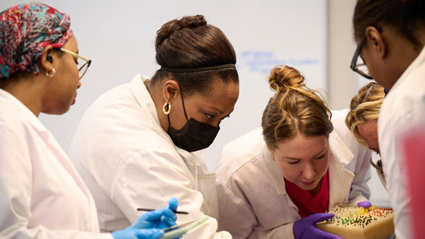 students working in anatomy lab