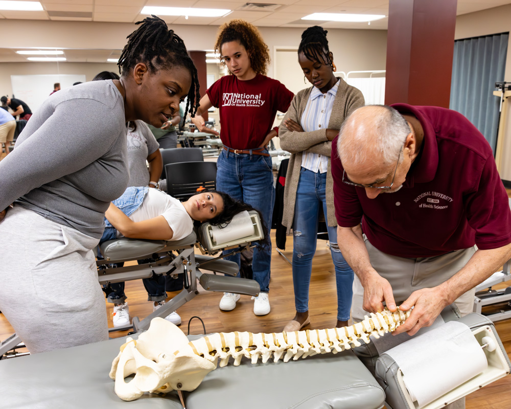 NUHS instructor showing students vertebrae model