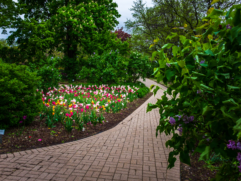 walkway in liacia park in Lombard, IL