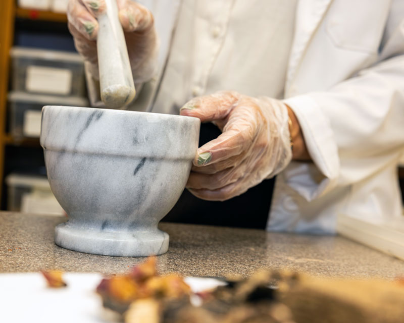 student and instructor preparing herbal medicine