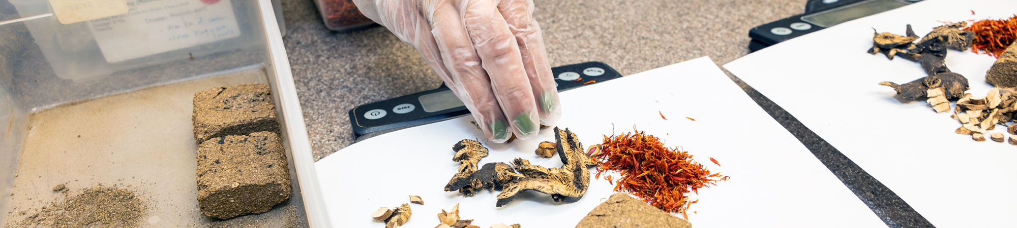 student measuring herbal medicine