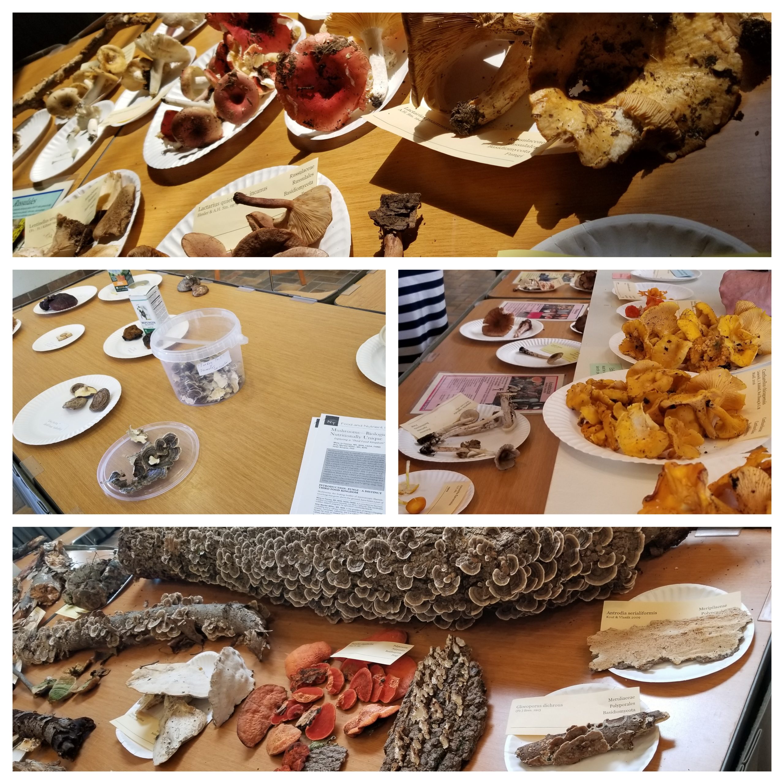 pixlr_20180917085237723