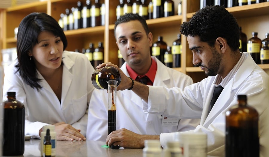 naturopathic students working in lab